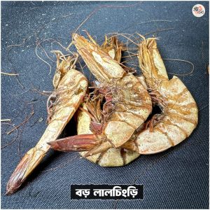 লাল চিংড়ি বড়