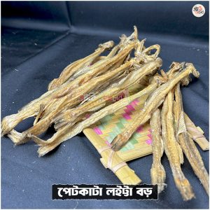 পেটকাটা লইট্টা বড়