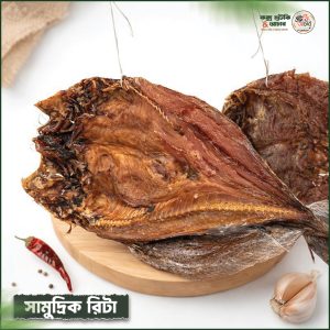 সামুদ্রিক রিটা