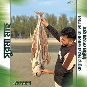 সুরমা