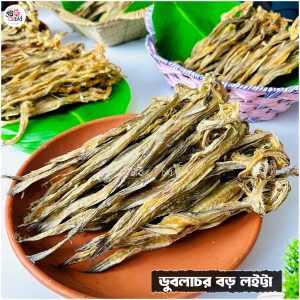 ডুবলাচর বড় লইট্টা