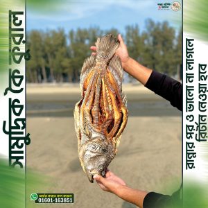সামুদ্রিক কুরাল