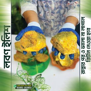 লবণ ইলিশ ( চাঁদপুর )