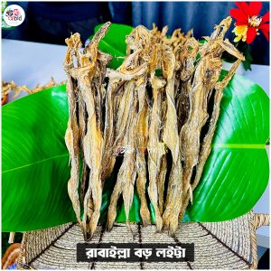 রাবাইল্লা বড় লইট্টা